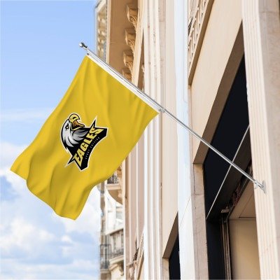 Custom Pole Flag gallery image